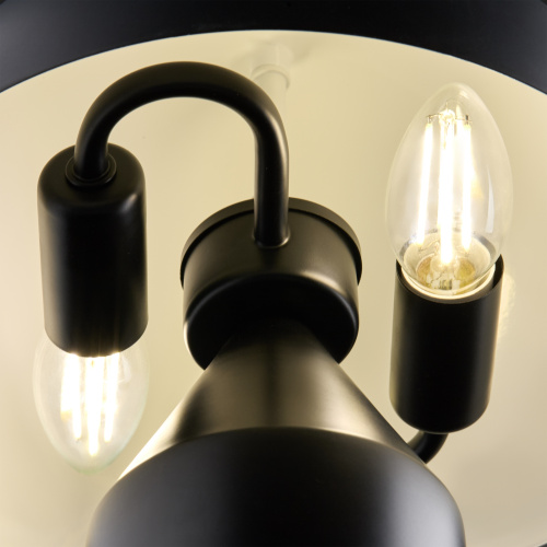 Настольный светильник Freya FR5218TL-02B1 фото 6